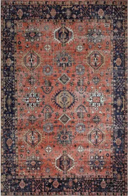 Image de NOMEDI Tapis oriental, tapis en coton