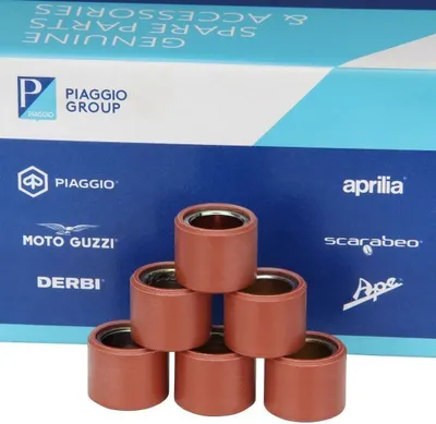 Zdjęcie produktu dla 6x wałek wariatora obciążniki wariatora wałek wariatora 21x17 14g dla Piaggio Vespa GTS GTV 300