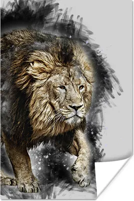 Produktbild von MuchoWow® Poster Illustration - Löwe - Schwarz 80x120 cm - Papierdruck