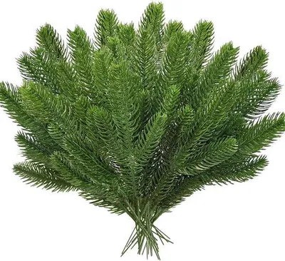Produktbild von Kunstdennentakken 50 Stück - für Adventskranz und Tischdekoration