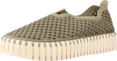 Image de Ilse Jacobsen Tulip3373 Couleur Vert