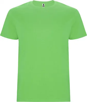 Produktbild von Roly CA6681 | Stafford T-Shirt - Doppellagiger Rundhalskragen - Farbe: Oasis Green 114 - Größe: L