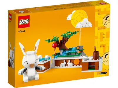 Productafbeelding van LEGO Iconic Maanvos, Bouwset, Vanaf 8 jaar, Kunststof, 0 onderdelen, 765 gram