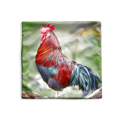Obrázek produktu pro MuchoWow® Povlak na polštář - 50x50 - Fototisk kohouta - Dekorační povlak na polštář