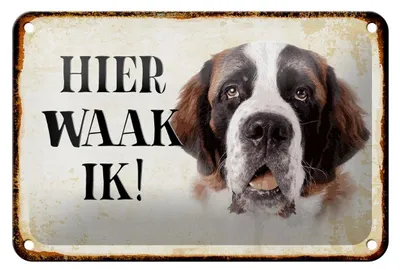 Produktbild von Blechschild Spruch 18x12cm holländisch Hier Waak ik Bernhardiner Dekoration