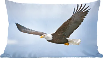 Produktbild von MuchoWow® Zierkissen Sofakissen Wohnzimmer Dekokissen 50x30 cm Ein fliegender Weißkopfseeadler - Wohnzimmerdekoration - Polster mit Photo
