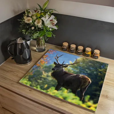 Produktbild von banjado Herdabdeckplatte einteilig 60x52cm groß mit Gummi Abstandshalter, ESG Sicherheitsglas mit Motiv Hirsch [HAP1 10321]