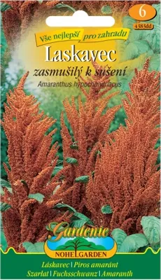 Obrázek produktu pro Laskavec zasmušilý k sušení, oranžový