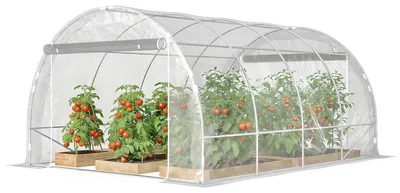 Image de Serre en film plastique, serre tunnel, film PE, acier galvanisé, serre tunnel en polyéthylène, accessible, transparent | 2 portes à rouleau | 150 g/m² | 395 x 297 x 199 cm