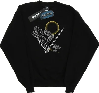 Produktbild von Harry Potter - Sweatshirt für Herren BI27852 (XL) (Schwarz)