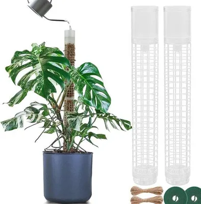 Produktbild von Famanu Moosstab für Selbstbewässerung - Ausziehbare Pflanzenstützen von 44 cm für Zimmerpflanzen