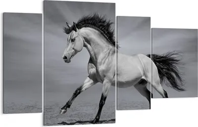 Produktbild von Bild auf Leinwand - Leinwandbild - Pferd Tier Natur - 120x70cm - Wand Bild - Wanddeko - Wandbilder - Leinwanddruck - Bilder - Kunstdruck - Wanddekoration - Leinwand bilder - Wandkunst - DL120x70-3608