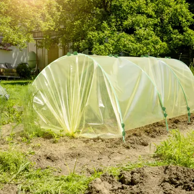 Produktbild von Windhager Folientunnel 10 x 2 m