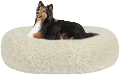 Immagine prodotto di Cuccia ortopedica per cani, cuscino rotondo per cani, panca per cani, cuccia per gatti, a forma di ciambella, morbida, lavabile, Ø 80 cm, beige