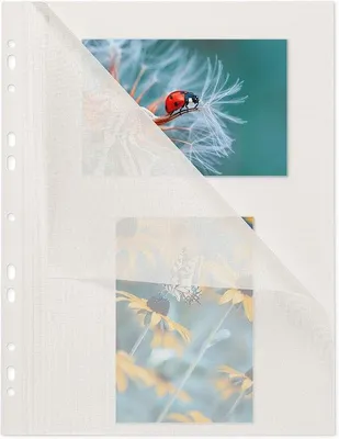 Productafbeelding van mashpaper Fotokarton fotovellen 50 vellen wit met glassine 230x297mm 65000425