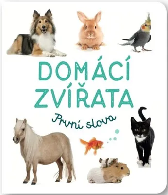 Obrázek produktu pro Domácí zvířata - První slova