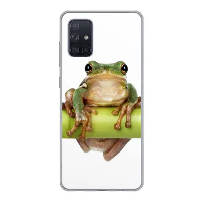 Produktbild von MuchoWow® Handyhülle Schutzhülle Hülle für Samsung Galaxy A51 Frosch - Bambus - Weiß Silikon Softcase Handy Hülle - Schutzabdeckung