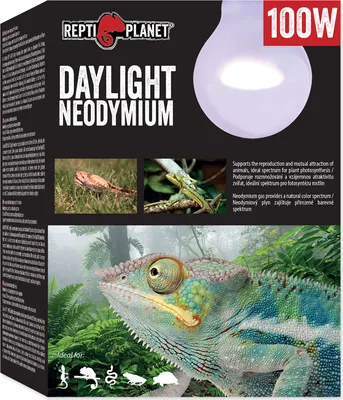 Zdjęcie produktu dla Repti Planet 007-41014, 100 W, 1 szt., Pudełko