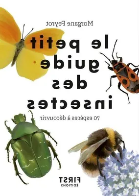 Immagine prodotto di Insektenbuch - 70 Arten Identifizierung - Natur - Lernbuch - 8,6 x 1,1 x 12,2 cm