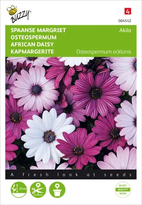 Produktbild von Samen - KAPMARGERITE 'AKILA' Mischung