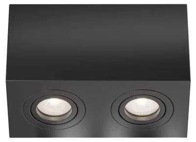 Zdjęcie produktu dla Lampa sufitowa, aluminium, 2 światła, czarna, L 20 cm