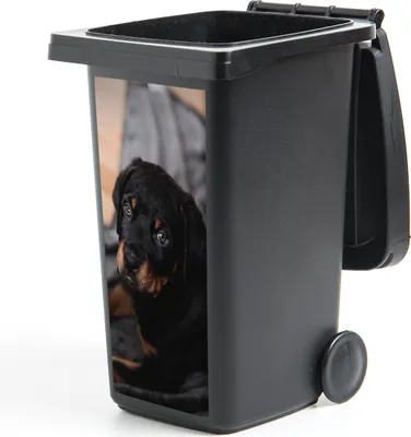Produktbild von MuchoWow® Mülltonnenaufkleber Ein Rottweiler-Welpe auf einem schwarzen Teppich 44x98 cm - Containeraufkleber - Aufkleber - Mülltonnen-Aufkleber