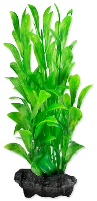 Produktbild von Deko Tetra Pflanze Hygrophila S 15cm