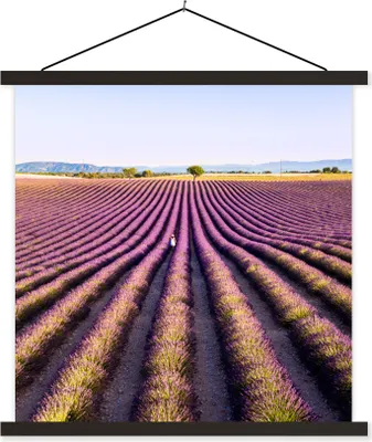 Produktbild von MuchoWow® Textilposter Lavendelfelder in der Provence in Frankreich 60x60 cm mit schwarzem Rahmen - Posteraufhänger