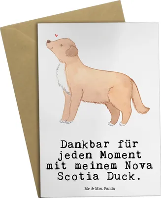 Produktbild von Mr. & Mrs. Panda Grußkarte Nova Scotia Duck Moment - Weiß - Geschenk, hochzeitskarten, valentinstagskarte, einladungskarten, Tolling Retriever, vatertagskarte