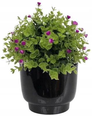 Zdjęcie produktu dla Ceramiczna obudowa doniczki czarna 15 x 13 cm