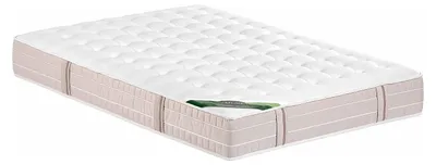 Produktbild von Matratze 160 x 200 cm Taschenfederkern 5 Zonen Memoryschaum und bettwanzenabweisender Matratzenbezug Stärke 24 cm - VIREVO von NATUREA