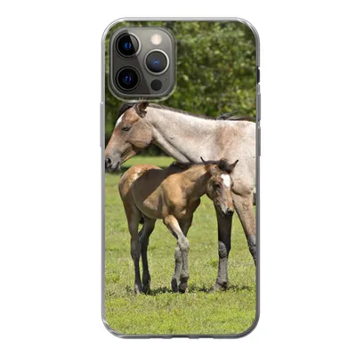 Produktbild von MuchoWow® Handyhülle Schutzhülle Hülle für iPhone 12 Pro Pferde - Gras - Schatten Silikon Softcase Handy Hülle - Abdeckung