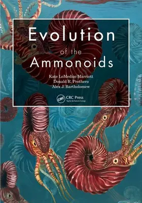 Produktbild von Evolution of the Ammonoids