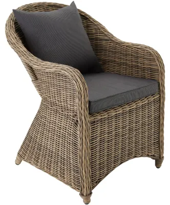 Image de Fauteuil en rotin avec structure en aluminium, coussin d'assise et coussin de dossier inclus - marron naturel