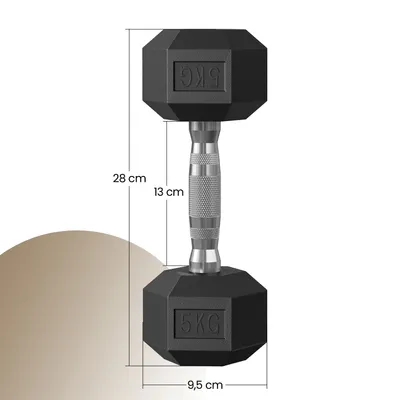 Produktbild von SONGMICS Hantelset, Hanteln 2er Set, Hexagon, Kurzhantel-Set, insgesamt 10/20 kg, für Workout, Fitnesstraining, Gewichtheben für Zuhause