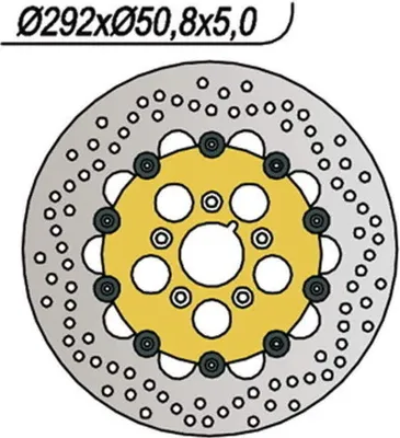 Immagine prodotto di Disco freno flottante NG per HARLEY DAVIDSON