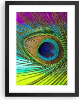 Produktbild von Gerahmtes Poster - Schwarzer Rahmen - Pfauen Federn Regenbogen - 30x40 cm - Wand Bild - Wanddeko - Wandbilder - Kunstposter - Wandposter - Bilderrahmen - Bilder - Kunstdruck - P2BPA30x40-4385