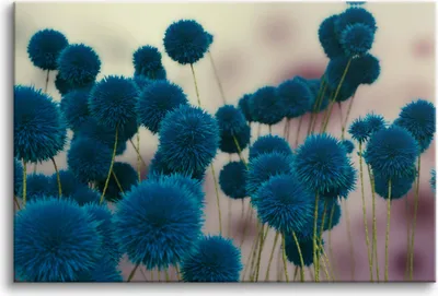 Produktbild von Wandbild für Schlafzimmer und Wohnzimmer Blaue Blumen Leinwandbilder 80x120 cm