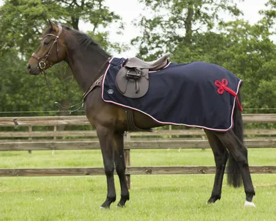 Produktbild von QHP Eldorado Ausreitdecke Fleece