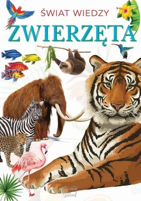 Obrázek produktu pro Zwierzęta