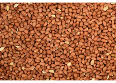 Imagen del producto de Tweetfeed, cacahuates pelados, 1 kg, alimento para aves silvestres