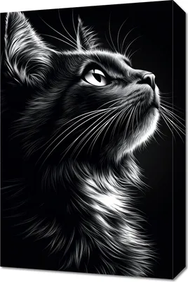 Immagine prodotto di Quadro 40x60 cm Ritratto di animali per il salotto | Gatto | Bianco e nero