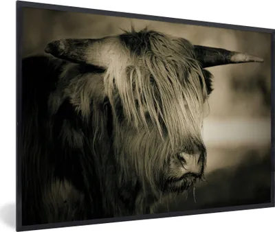 Produktbild von MuchoWow® Gerahmtes Poster Schottischer Highlander - Tiere - Haare 60x40 cm - Poster mit Schwarzem Bilderrahmen Wandposter Rahmen Foto Bilder - Printing - Wanddeko Schlafzimmer