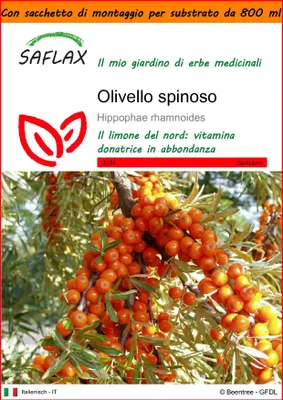 Immagine prodotto di SAFLAX Garden in the bag - Olivello spinoso - 40 semi - Hippophae