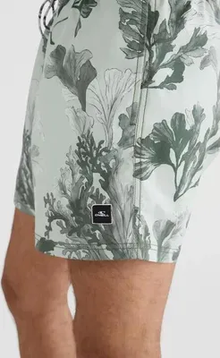 Produktbild von Herren-Badeshorts 15' | ORIGIN OYSTER SHORTS XL O'Neill