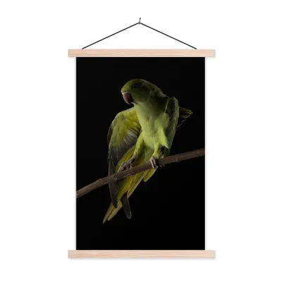 Produktbild von MuchoWow® Textilposter Papagei - Vogel - Zweig 120x180 cm mit holzfarbenen Rahmen - Textil-Plakat