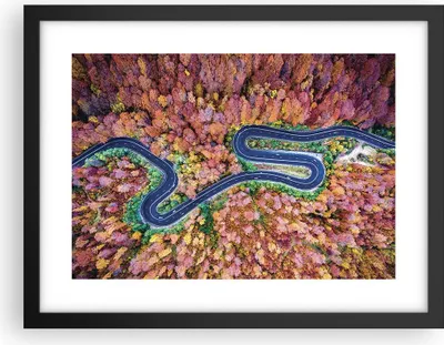 Produktbild von Gerahmtes Poster - Schwarzer Rahmen - Kurvenreich Weg Wald - 40x30 cm - Wand Bild - Wanddeko - Wandbilder - Kunstposter - Wandposter - Bilderrahmen - Bilder - Kunstdruck - Wandbild - P2BAA40x30-4291