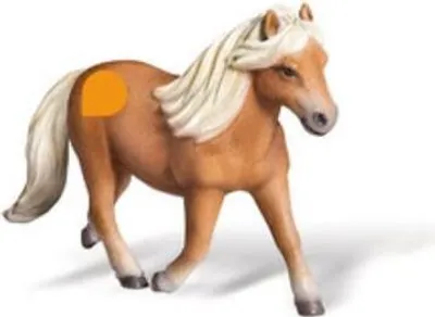 Immagine prodotto di Ravensburger 003075 tiptoi® - Falabella mare