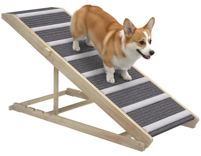 Image de Escalier pour chien, hauteur réglable, design pliable, bois naturel et gris, 100 x 50 x 50 cm