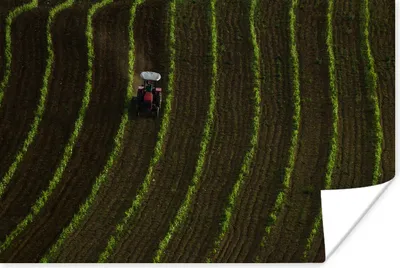 Produktbild von MuchoWow® Poster Traktor - Landwirtschaft - Weinbau 120x80 cm - Bilder